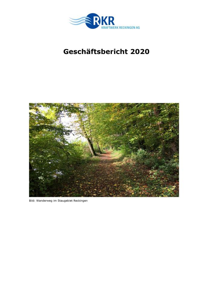 Geschäftsbericht 2020